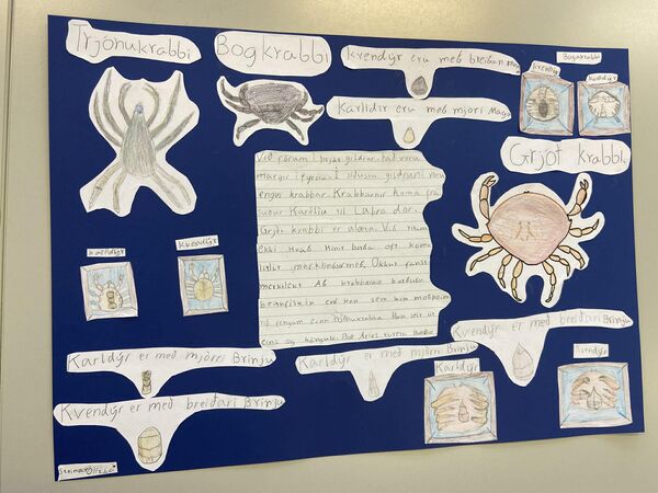 647474374_1579400563290183_2069051613535224859_n