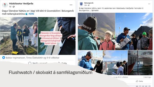 Slide3_1758194431166