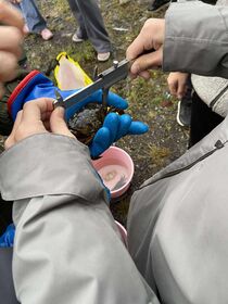 551581603_2521698621527553_3259839607849239944_n